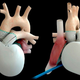 Illustration for article titled Space technology company builds a functioning artificial heart